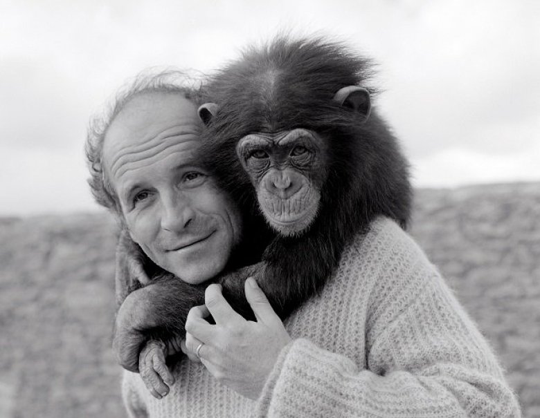 Léo et la chimpanzé